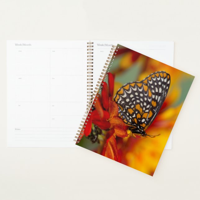 Baltimore-Chequered Butterfly Planner (Display)