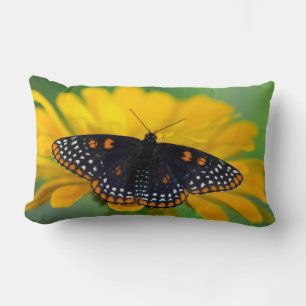 Baltimore Chequered Spot Butterfly Lumbar Cushion