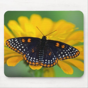 Baltimore Chequered Spot Butterfly Mouse Pad
