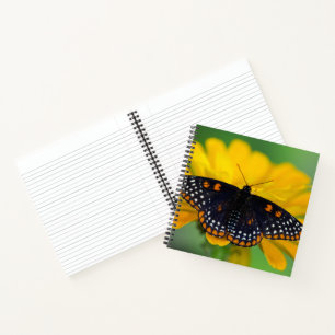 Baltimore Chequered Spot Butterfly Notebook