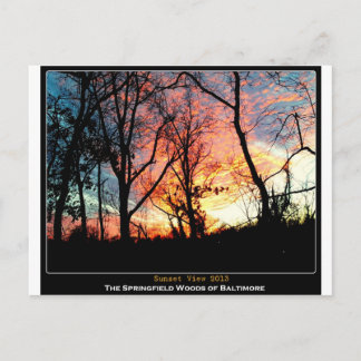 Baltimore Green Space - Sunset View Postcard