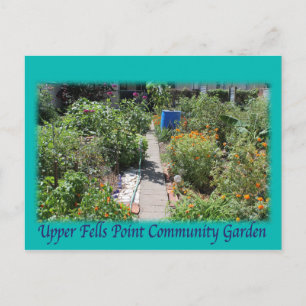 Baltimore Green Space UFPIA postcard
