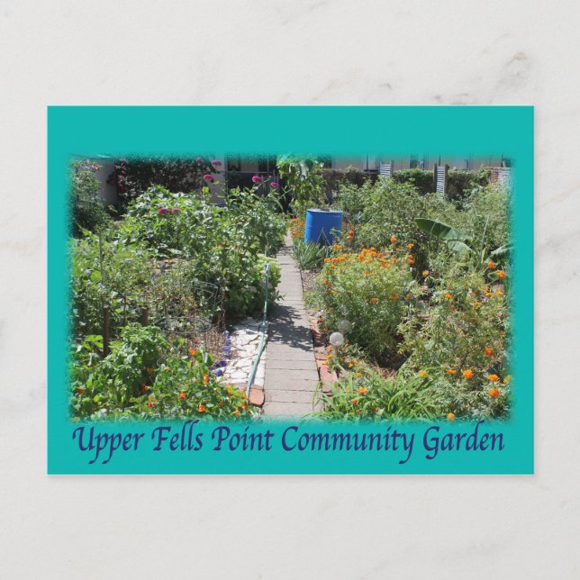 Baltimore Green Space UFPIA postcard (Front)