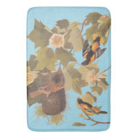 Baltimore Oriole Audubon Bird Family with Nest