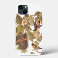 Baltimore Oriole Audubon Bird Family with Nest