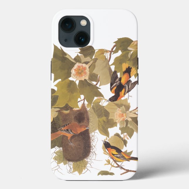 Baltimore Oriole Audubon Bird Family with Nest Case-Mate iPhone Case (Back)