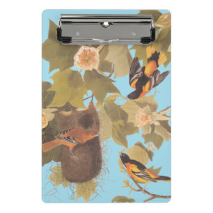 Baltimore Oriole Audubon Bird Family with Nest Mini Clipboard