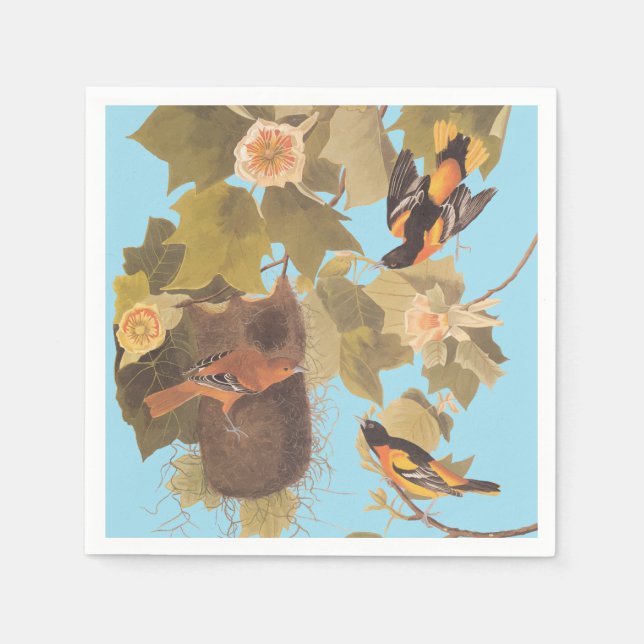 Baltimore Oriole Audubon Bird Family with Nest Napkin (Front)
