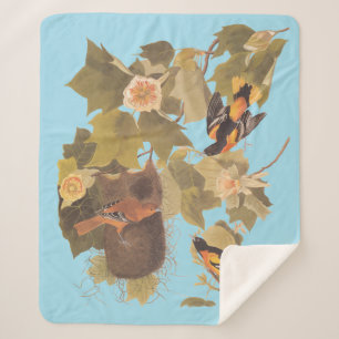Baltimore Oriole Audubon Bird Family with Nest Sherpa Blanket