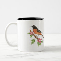 Baltimore Oriole Bird Mug
