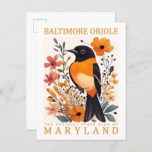 Baltimore Oriole Bird of Maryland USA Travel Postcard