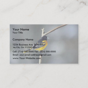 Baltimore Oriole Business Card