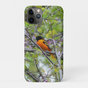 Baltimore Oriole iPhone 11 Pro Case