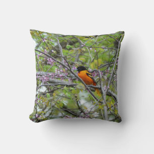Baltimore Oriole Cushion