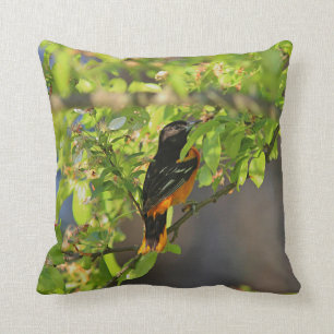 Baltimore oriole cushion