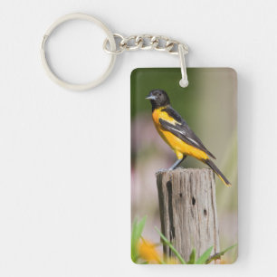 Baltimore Oriole female in flower garden Key Ring