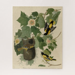 Baltimore Oriole - from Audubon's Birds of America Jigsaw Puzzle
