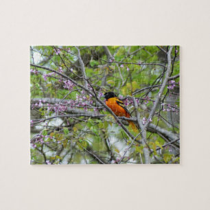 Baltimore Oriole Jigsaw Puzzle