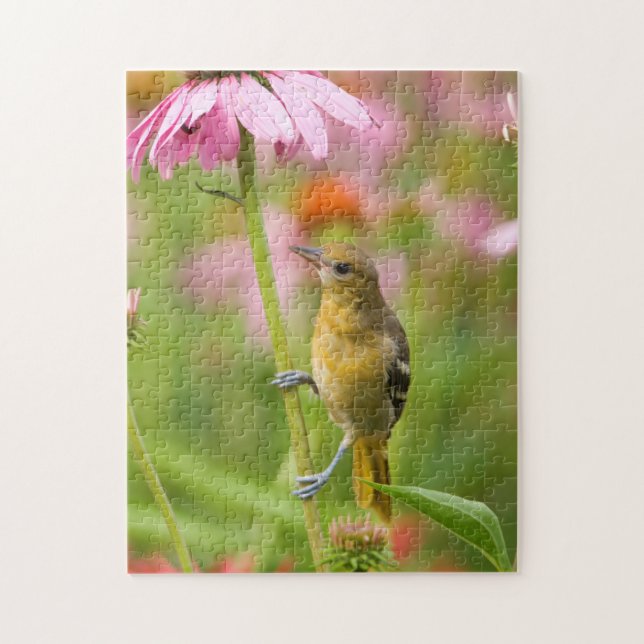 Baltimore Oriole Jigsaw Puzzle (Vertical)