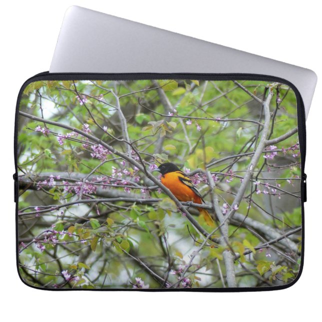 Baltimore Oriole  Laptop Sleeve (Front)