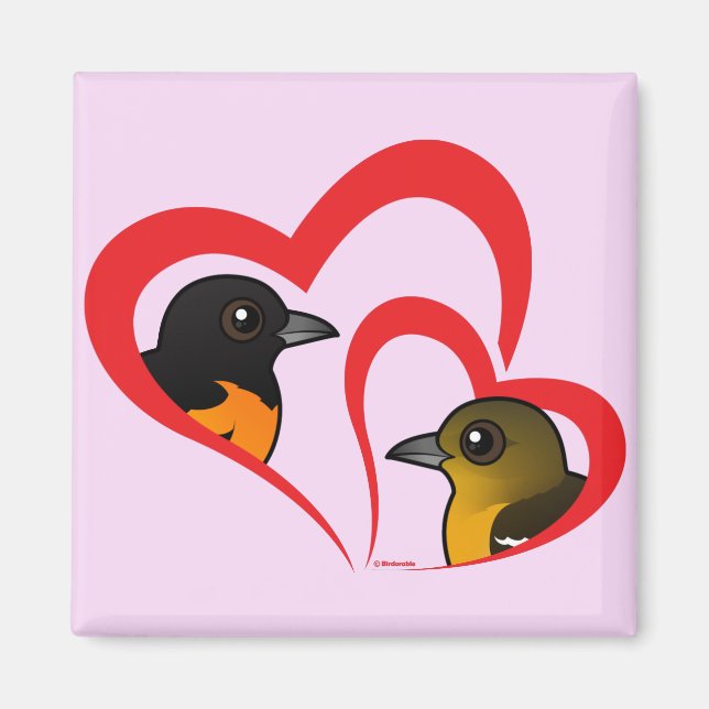 Baltimore Oriole Love Magnet (Front)