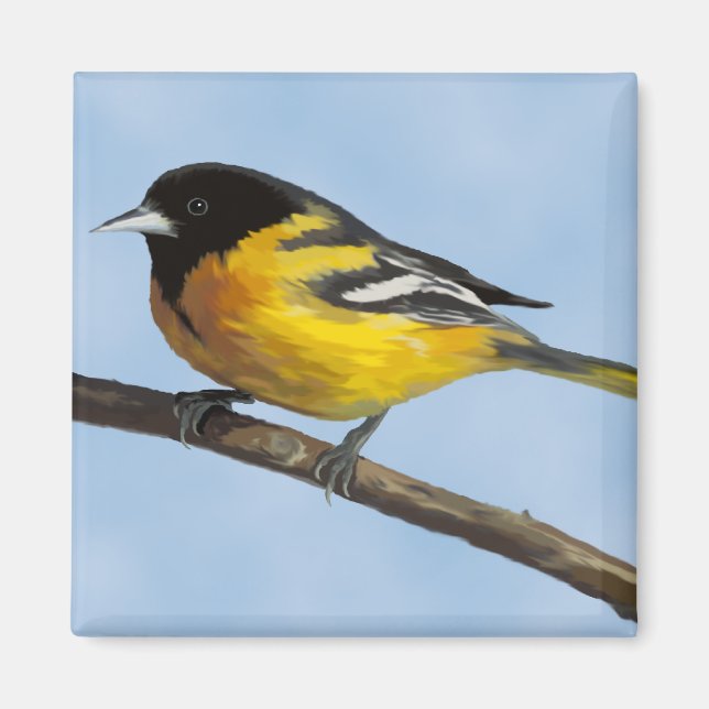 Baltimore Oriole Magnet (Front)