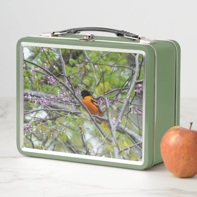 Baltimore Oriole Metal Lunch Box (In Situ)