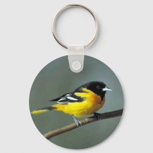 Baltimore Oriole on a branch Key Ring