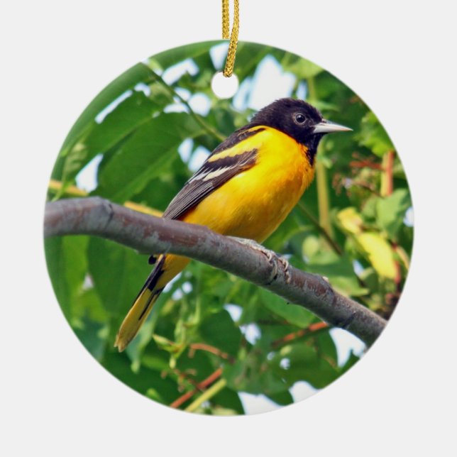 Baltimore Oriole Ornament (Front)