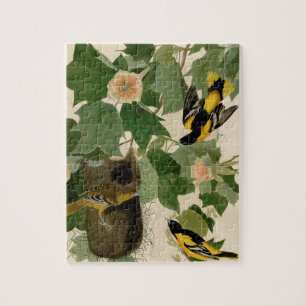 Baltimore Oriole Rare Audubon Jigsaw Puzzle