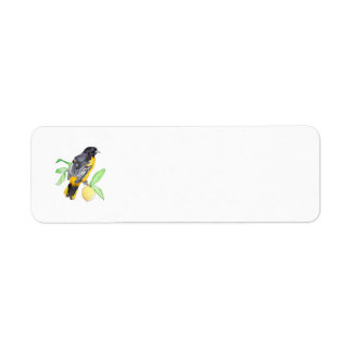 Baltimore Oriole Return Address Labels