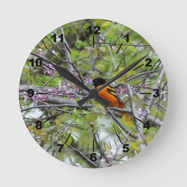 Baltimore Oriole Round Clock (Front)
