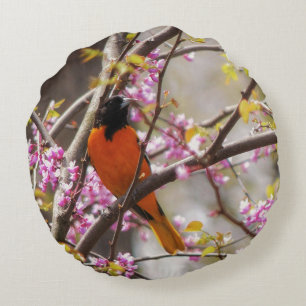 Baltimore Oriole Round Cushion