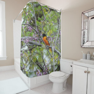 Baltimore Oriole Shower Curtain