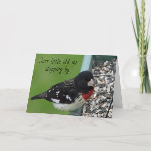 Baltimore Oriole Stops by to say *HAPPY BIRTHDAY* Card