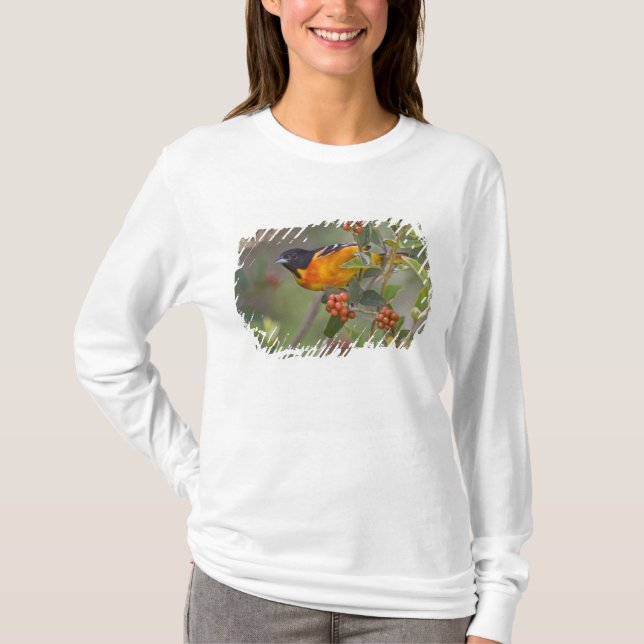 Baltimore Oriole T-Shirt (Front)