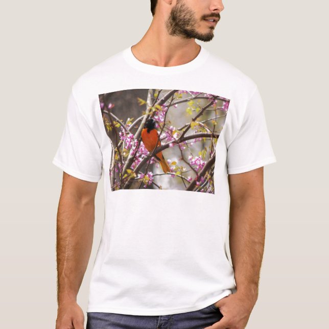 Baltimore Oriole T-Shirt (Front)