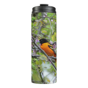 Baltimore Oriole Thermal Tumbler