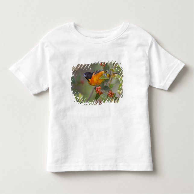 Baltimore Oriole Toddler T-Shirt (Front)