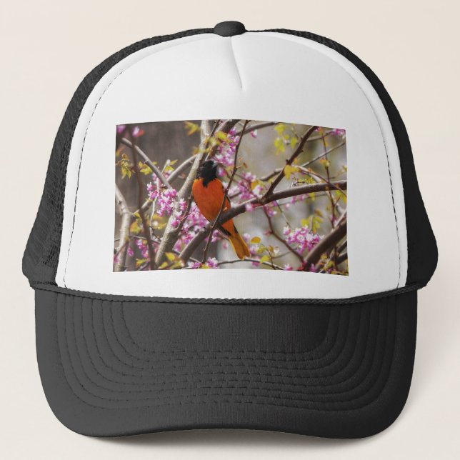 Baltimore Oriole Trucker Hat (Front)
