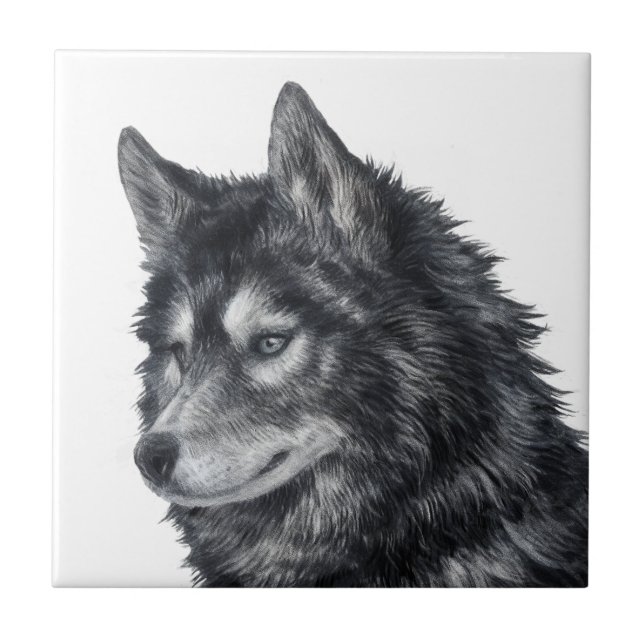 Balto Dog Ceramic Tile (Front)