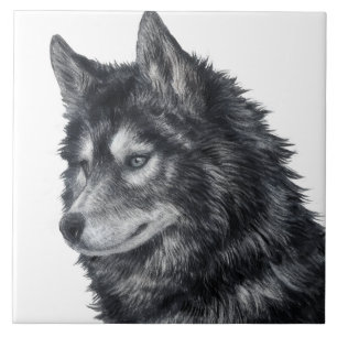 Balto Dog Illustration Ceramic Tile