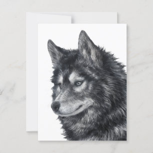 Balto Dog Postcard