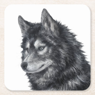 Balto Dog Square Paper Coaster