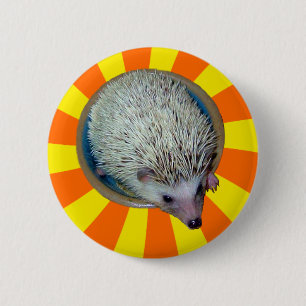 BAM! Hedgehog Button