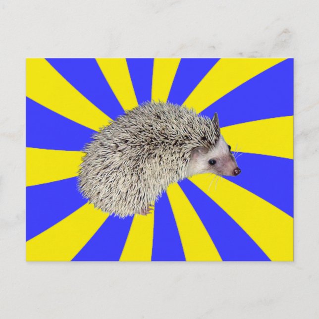 BAM! Hedgehog Postcard 2 (Front)