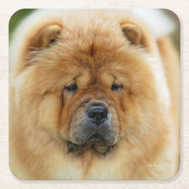 Bamba Chow coaster (Front)