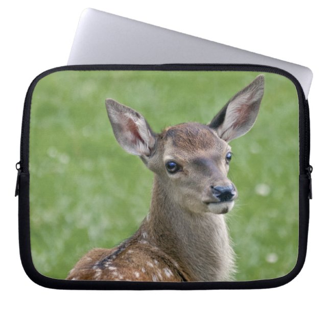 Bambi Laptop Sleeve (Front)