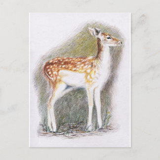 Bambi Postcard