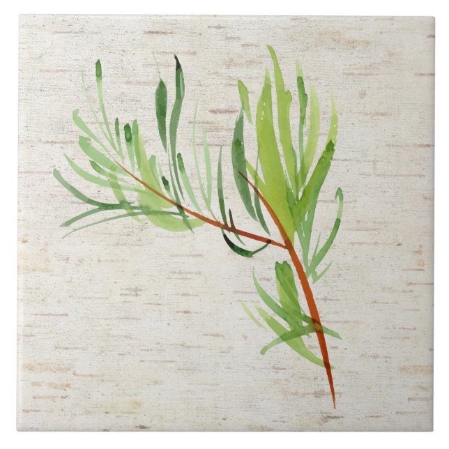 Bamboo and Birch Ceramic Tile (Front)